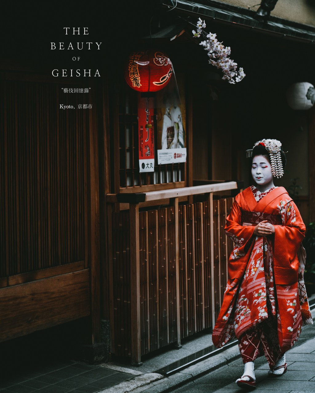 The beauty of&nbsp;Geisha