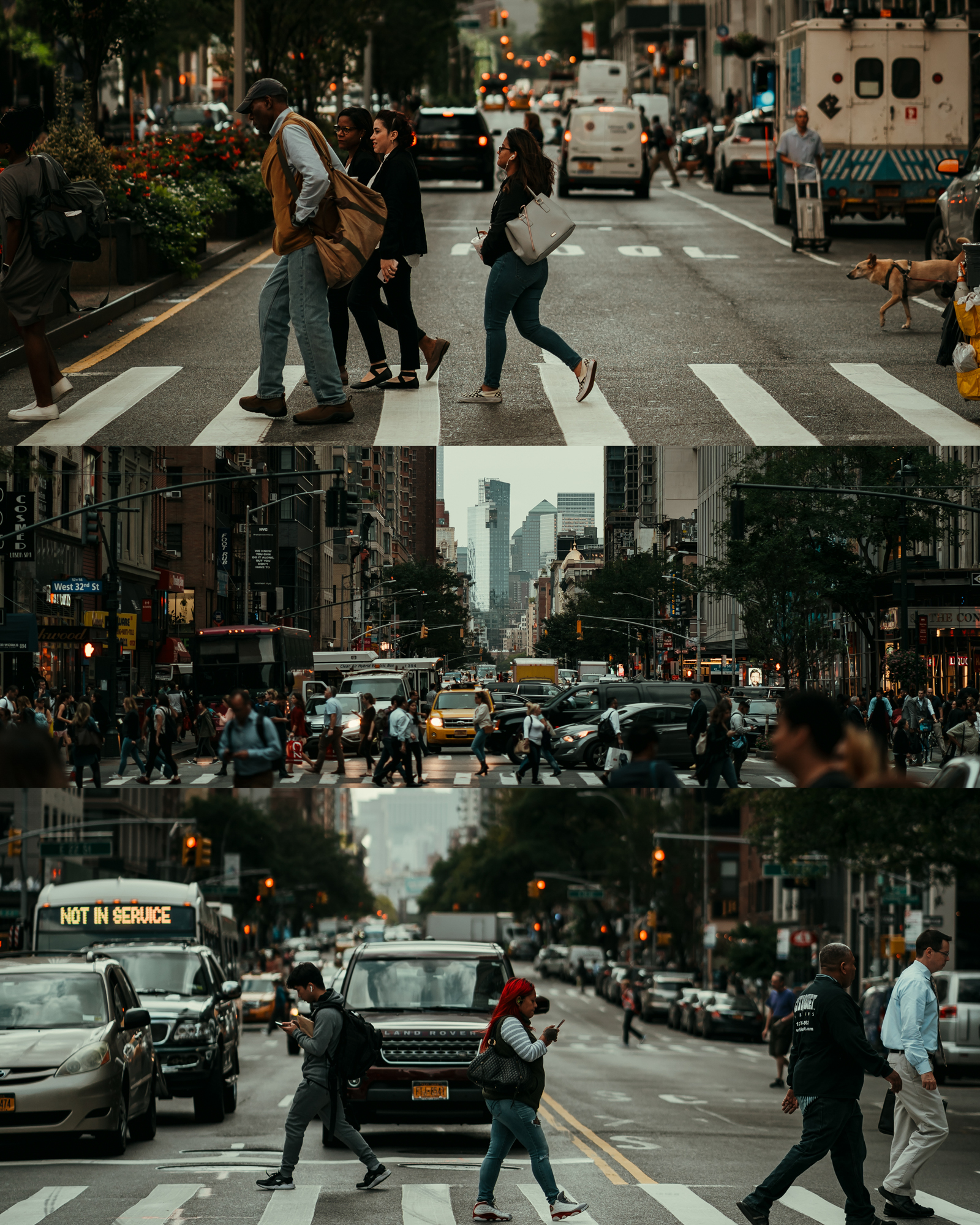 Symbol of the rule6-2